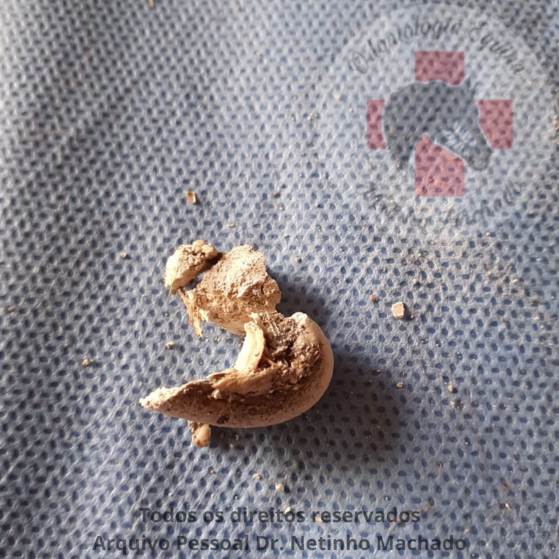 Design sem nome - 2024-06-09T230204.833.png