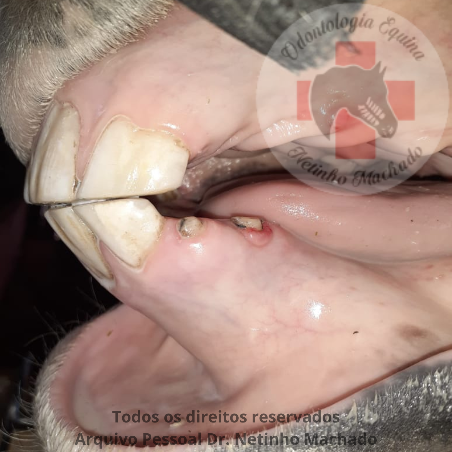 Design sem nome - 2024-05-24T232328.406.png