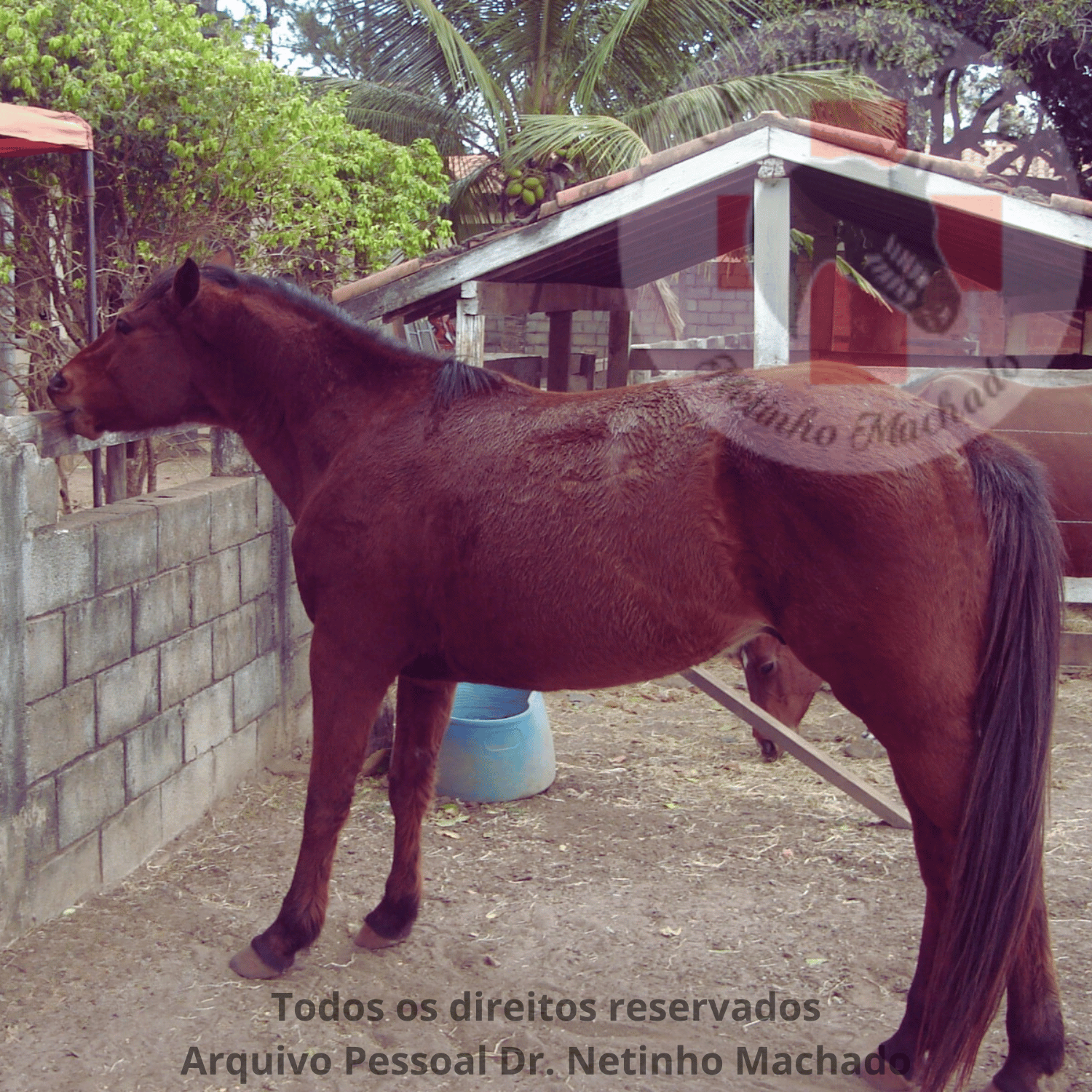 Design sem nome - 2024-06-09T231014.780.png