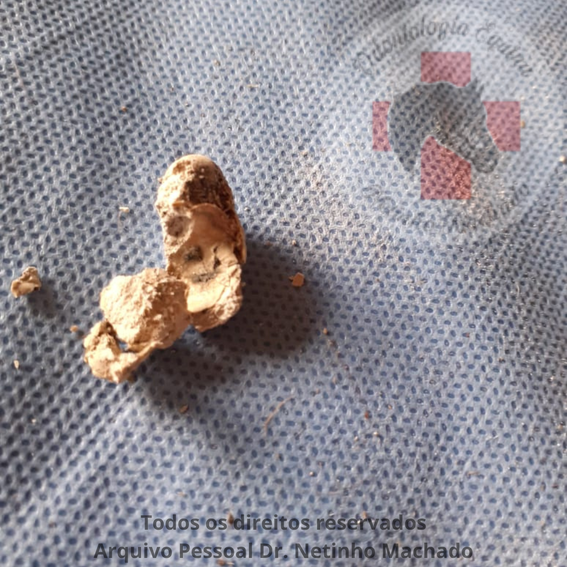 Design sem nome - 2024-06-09T230215.888.png