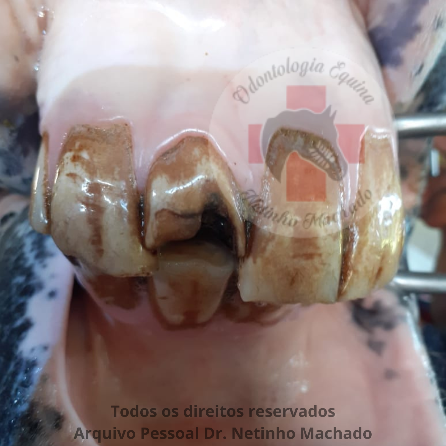 Sem nome (1500 x 1501 px) (24).png