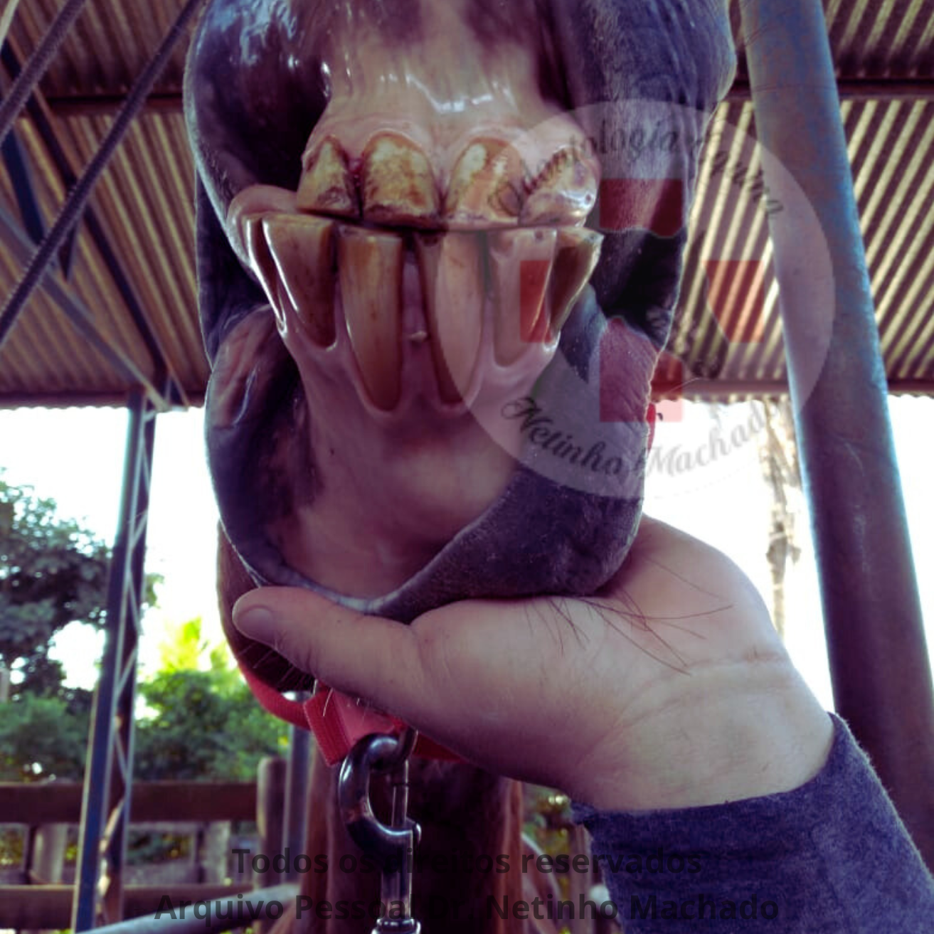 Sem nome (1500 x 1501 px) (19).png