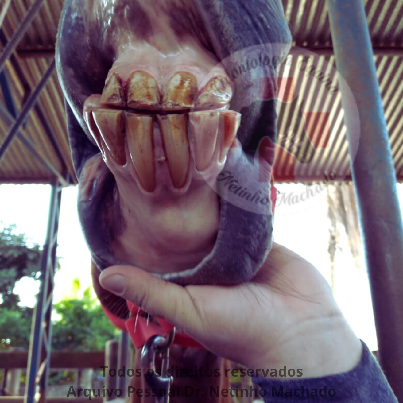 Sem nome (1500 x 1501 px) (21).png