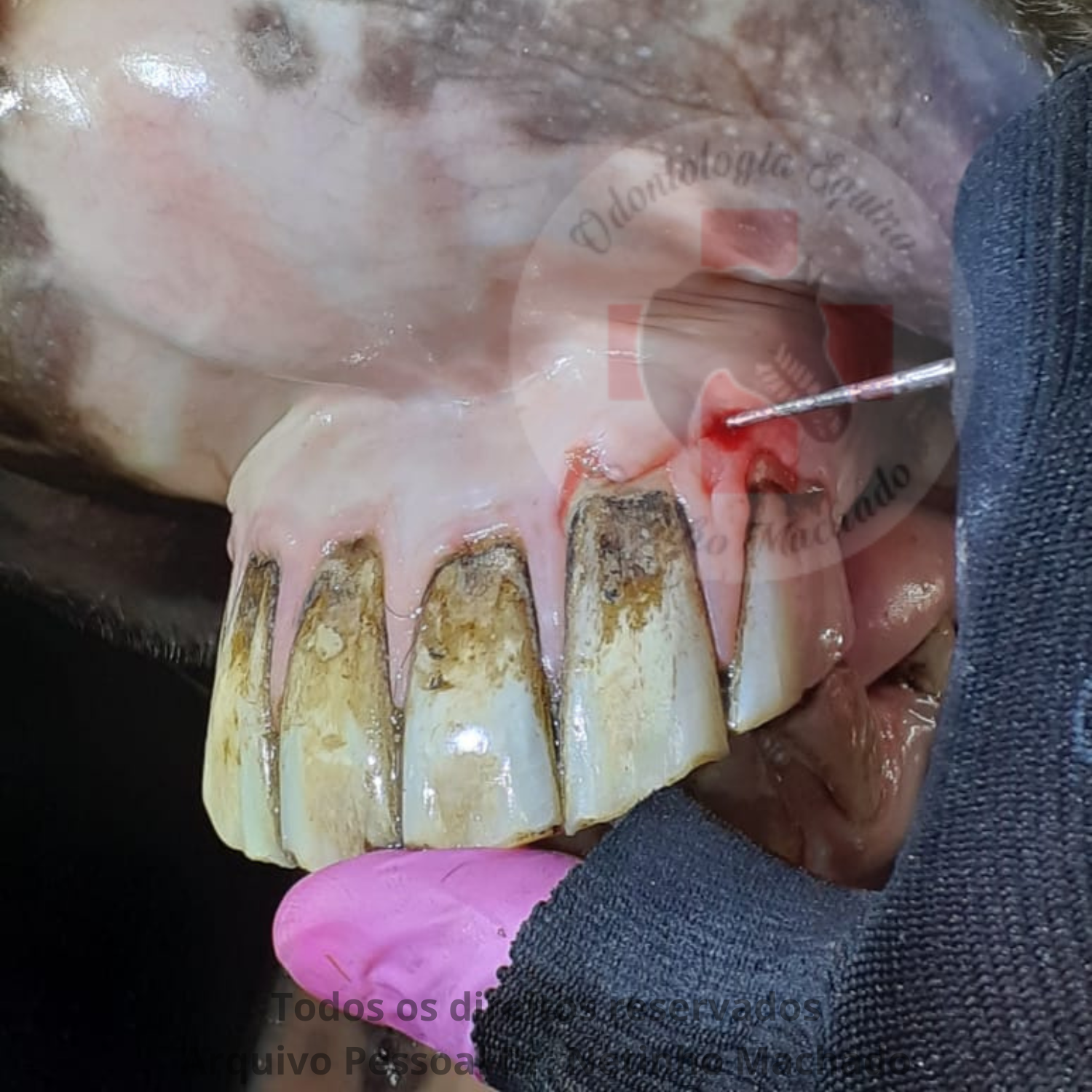 Design sem nome - 2024-05-19T230820.177.png