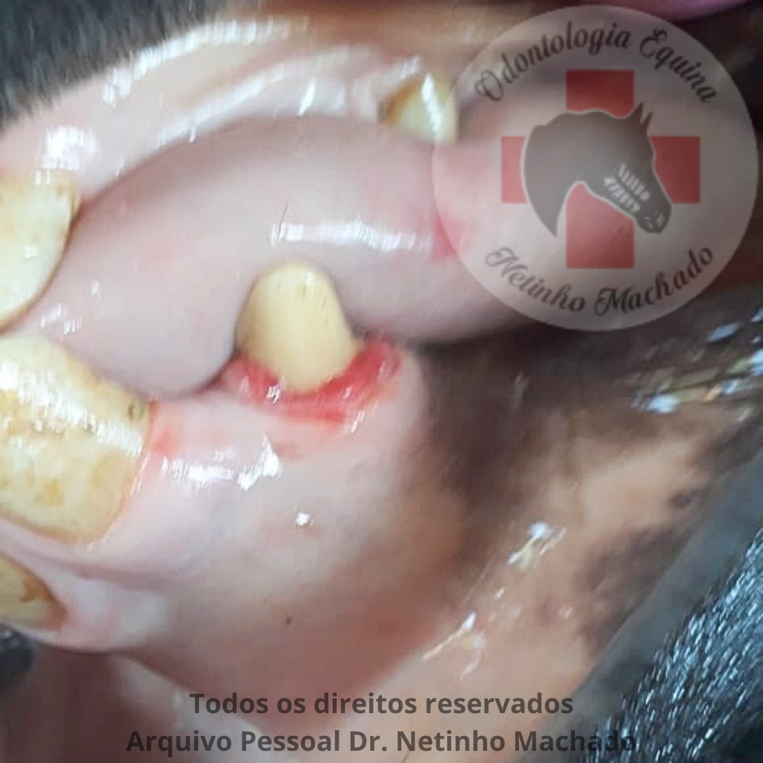 Design sem nome - 2024-05-26T223021.227.png