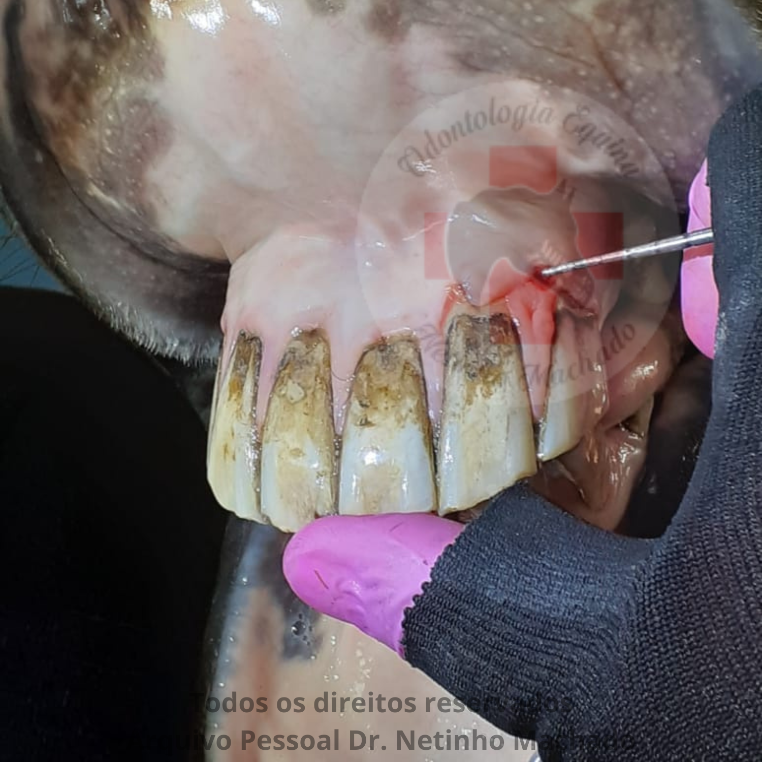 Design sem nome - 2024-05-19T230829.912.png